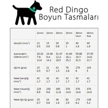 Red Dingo Bedrock Desenli Turuncu Köpek Boyun Tasması 15MM