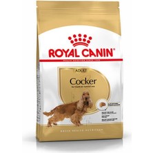Royal Canin Cocker Adult Yetişkin Köpek Maması 3 kg