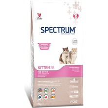 Spectrum KITTEN38 Hipoalerjenik Tavuklu Yavru Kedi Maması 12 kg