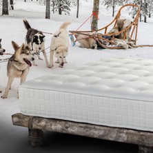 Hälsa Lappland ProFlex® Yay sistemli - At Kuyruğu Kılı, El İşçiliği, Organik Pamuk Yün Yatak