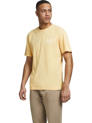 Jack & Jones Jorpoolboy Tee Ss Crew Neck Erkek Tişört