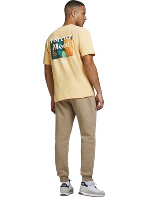 Jack & Jones Jorpoolboy Tee Ss Crew Neck Erkek Tişört