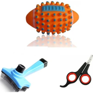 Dream Plus Köpek Diş Kaşıma Oyuncak ve Tarak Seti Pati Set 3