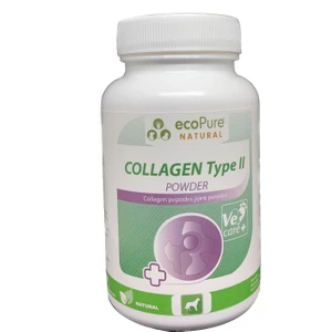 Collogen Type Iı