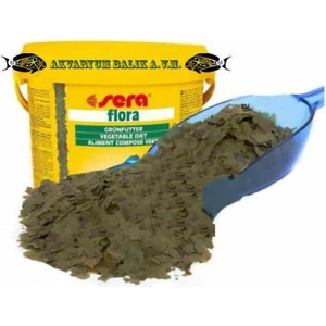 Flora