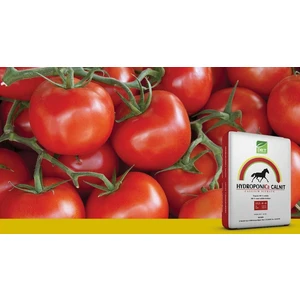 Dr. Tarsa Dr Tarsa Kalsiyum Nıtrat - 1 kg