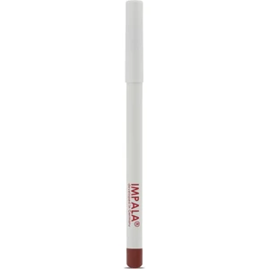 Dudak Kalemi - Flirt Pencil Lipliner No: 102