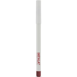 Dudak Kalemi - Flirt Pencil Lipliner No: 104