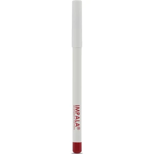 Dudak Kalemi - Flirt Pencil Lipliner No: 105