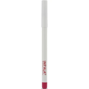 Dudak Kalemi - Flirt Pencil Lipliner No: 110