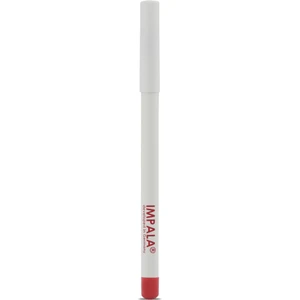 Dudak Kalemi - Flirt Pencil Lipliner No: 111