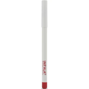 Dudak Kalemi - Flirt Pencil Lipliner No: 113