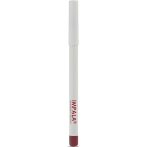 Dudak Kalemi - Flirt Pencil Lipliner No: 117