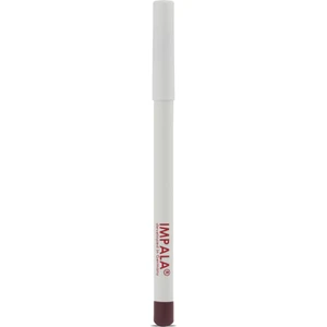 Dudak Kalemi - Flirt Pencil Lipliner No: 119