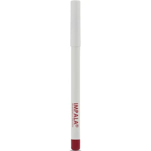 Dudak Kalemi - Flirt Pencil Lipliner No: 121