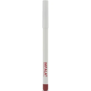 Dudak Kalemi - Flirt Pencil Lipliner No: 123