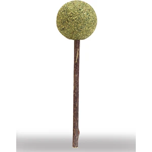 Lolipop