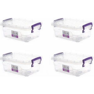 Hobi Box Yatay Saklama Kabı 4'lü Set (4x2 Lt)