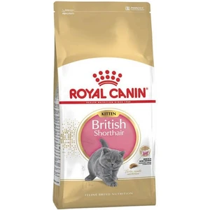 Royal Canin British Shorthair Kitten Yavru Kedi Maması 2 kg