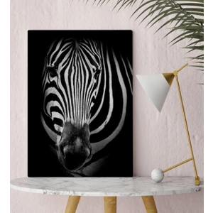 Bk Gift Zebra Tasarımlı Kanvas Tablo 30X50CM-1