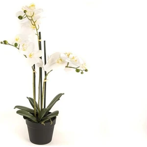 Mikasa Moor Beyaz 3'lü Yapay Orkide 65 cm