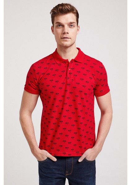 Polo T-shirt modelleri
