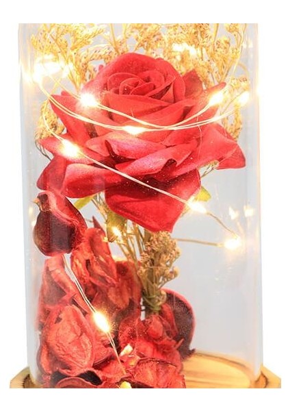Fanus Gül 19/10CM LED Işıklı Cam Fanuslu Hediyelik