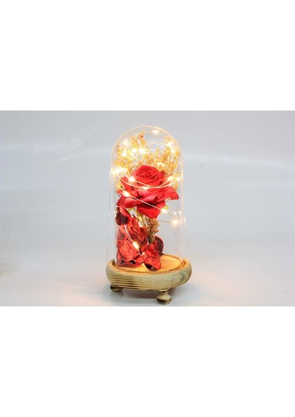 Fanus Gül 19/10CM LED Işıklı Cam Fanuslu Hediyelik fiyatları