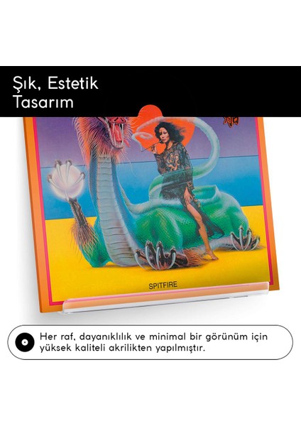 Plak Rafı Plak Duvar Rafı Plak Sergileme Standı Dergilik Kitaplık Ürün Rafı 6 Adet