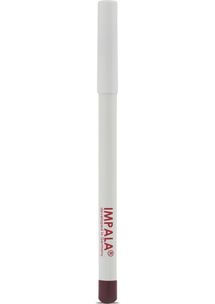 Dudak Kalemi - Flirt Pencil Lipliner No: 119