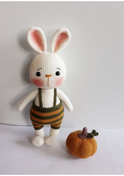 Tavşan Sunny ve Bal Kabağı Amigurumi Organik Oyuncak