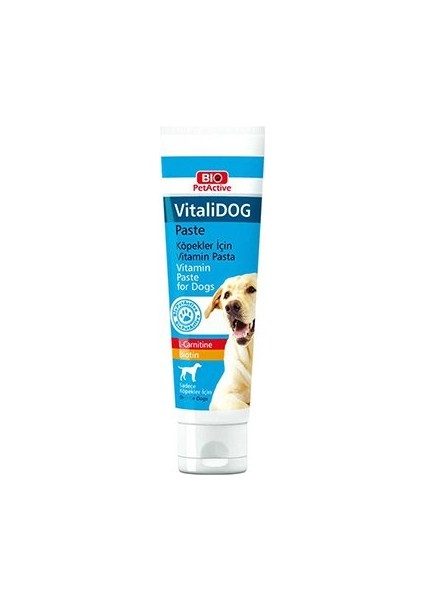 Pet Active Vitalidog Paste Yetişkin Köpekler Için Vitamin Macun 100 ml