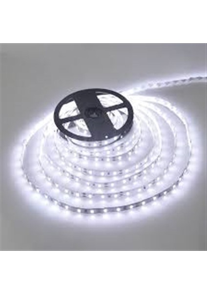 10 Metre Ct 4487 Cata 3 Çip Dış Mekan Şerit Led Beyaz 12v