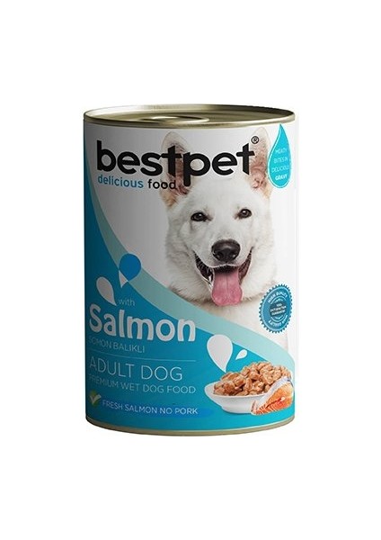 Somonlu Jöleli Yetişkin Köpek Konservesi 400 gr