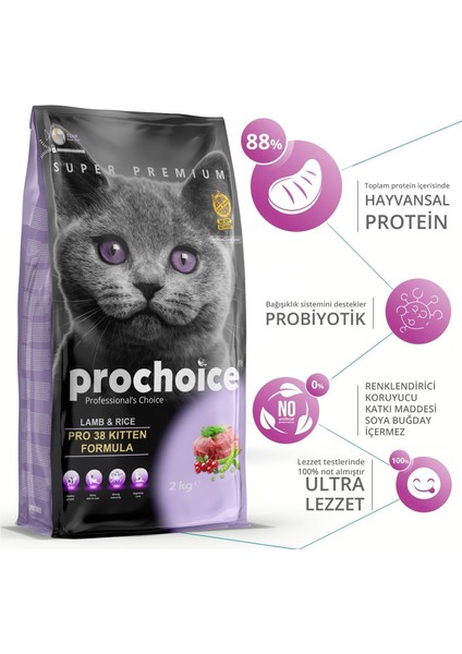 Pro 38 Kitten Kuzu Etli Yavru Kedi Maması 2 kg