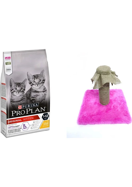 Proplan 10 kg Kitten Yavru Kedi Maması & Kedi Tırmalama