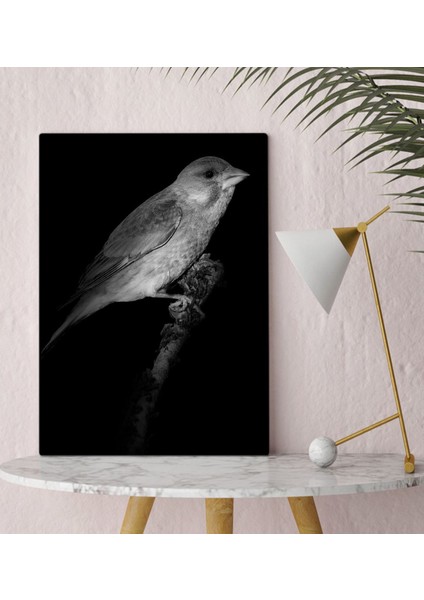 Gift Kanarya Tasarımlı Kanvas Tablo 30X50CM-1