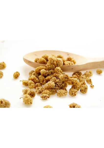 Beypazar Kuru Dut (Dut Kurusu) 100 gr fiyatları