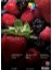 B6 Fotoğraf Kağıdı 260 gr Parlak 2
