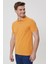 Lee Cooper Twıns Erkek Polo Yaka T-Shirt 3