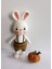 Tavşan Sunny ve Bal Kabağı Amigurumi Organik Oyuncak 1