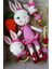 Tavşan Yeni Doğan Seti Amigurumi Organik Oyuncak 2