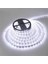 10 Metre Ct 4487 Cata 3 Çip Dış Mekan Şerit Led Beyaz 12v 2