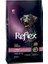 Biftekli High Energy Yetişkin Köpek Maması 15 kg 1