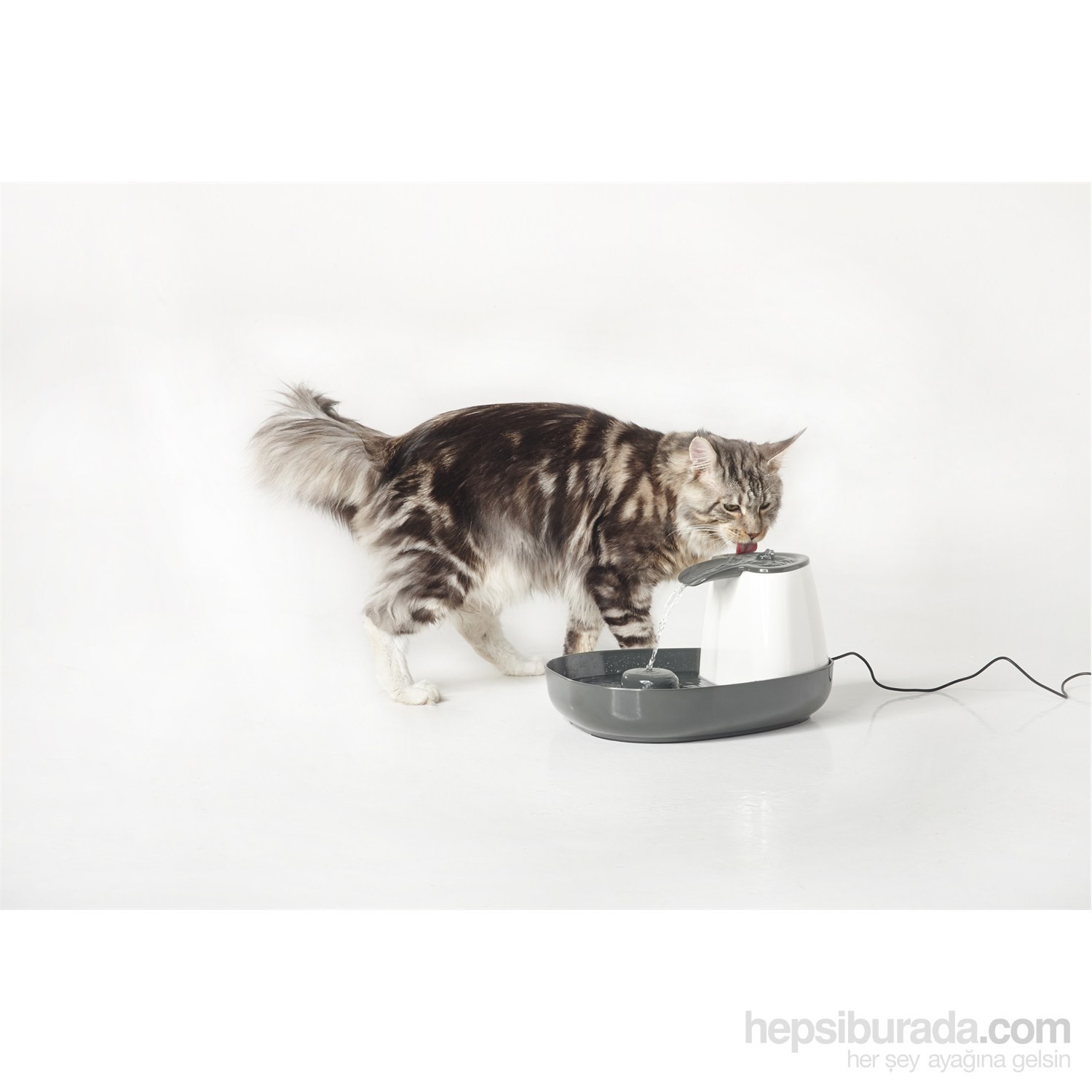 Cascade Kedi ve Köpek İçin Su Pınarı Elektrikli kk Fiyatı