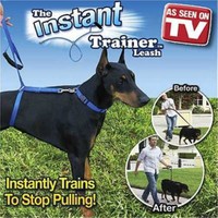Uygun Köpek Eğitim Tasması Instant Trainer Leasha