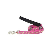 Reddingo Pembe Üzerine Lime Yıldızlı Uzatma Köpek Tasması 12 Mm