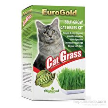 Eurogold Kedi Çimi