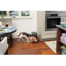 Pet Safe Programlanabilir Digital Sağlıklı Beslenme Kabı