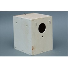 Tahta Kuş Yuva Büyük